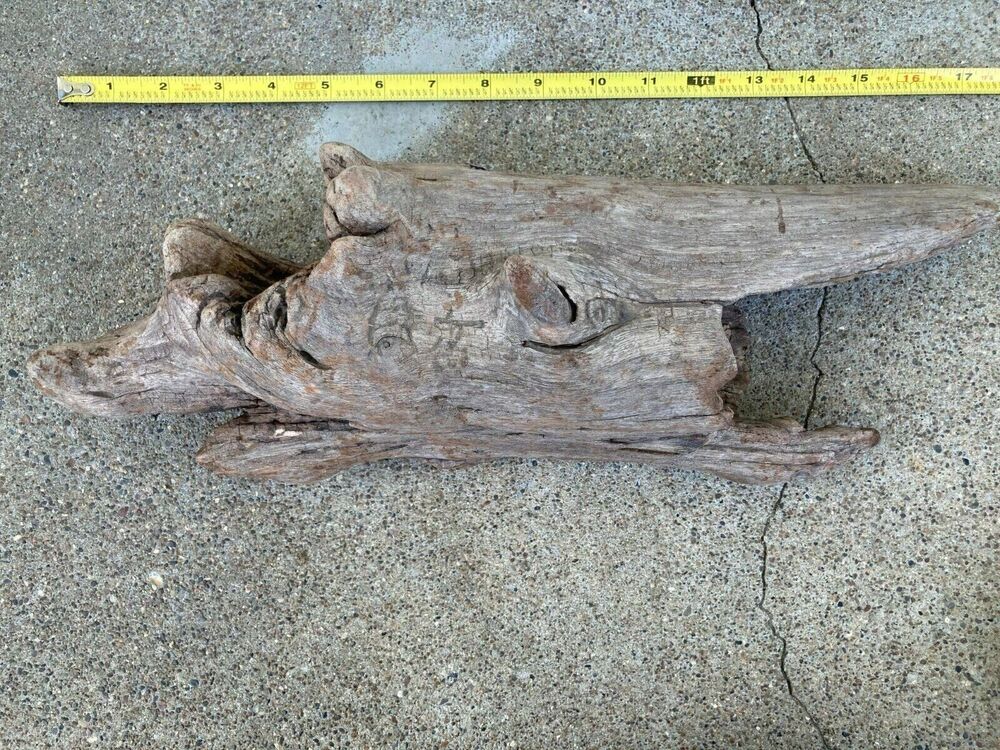 Ohio River Driftwood 17"x5"x3.5"